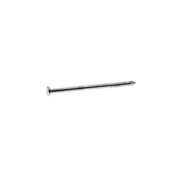Common Nail, 4 in L, 20D, Steel, Hot Dipped Galvanized Finish, 6 ga